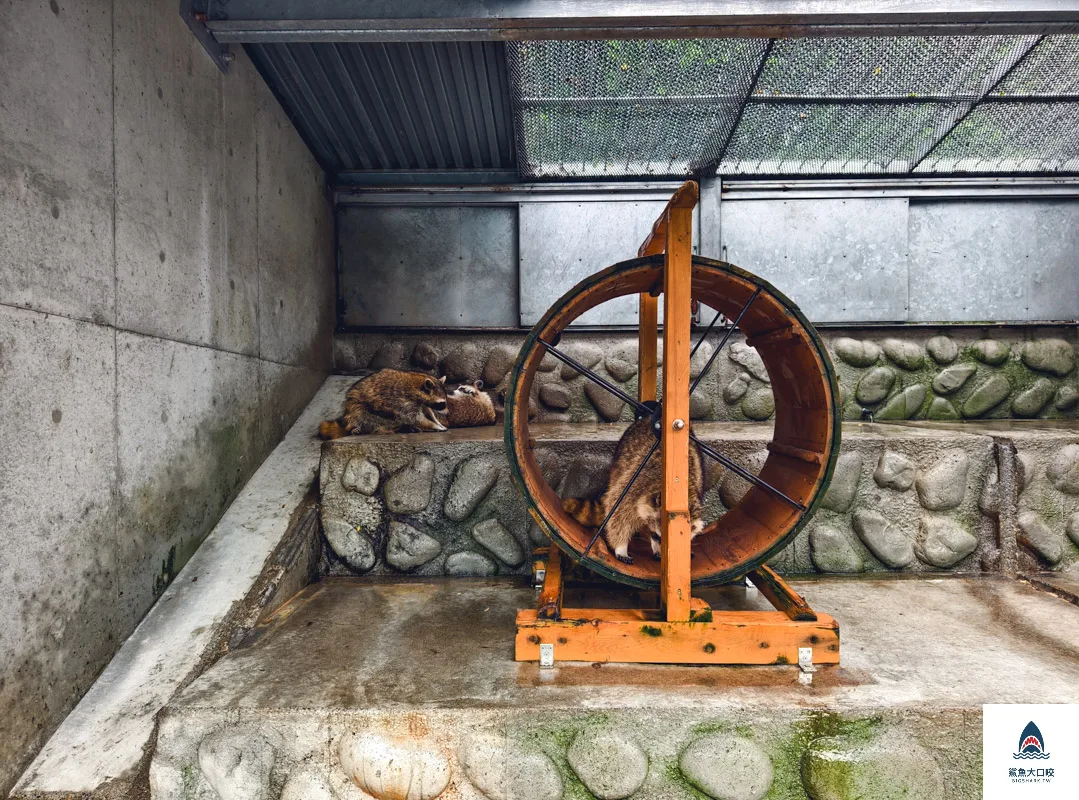 昭和新山熊牧場門票,昭和新山熊牧場營業時間,昭和新山熊牧場在哪裡,昭和新山熊牧場 @鯊魚大口咬 昭和新山熊牧場門票,昭和新山熊牧場營業時間,昭和新山熊牧場在哪裡,昭和新山熊牧場 @鯊魚大口咬