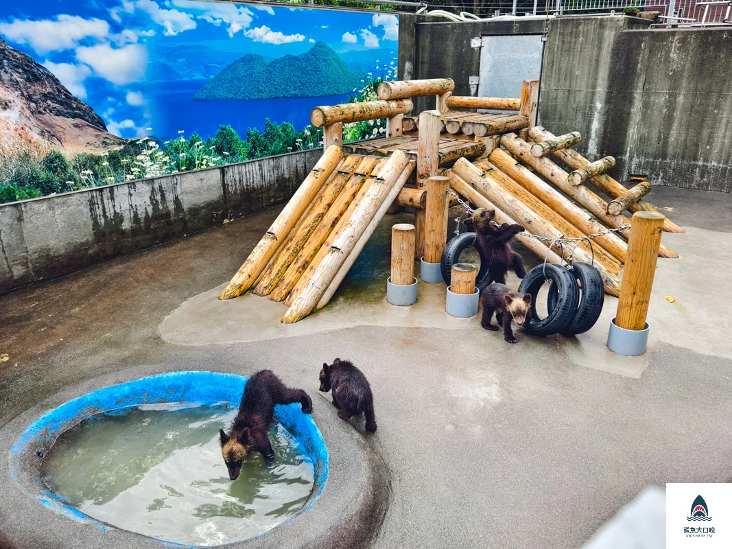 昭和新山熊牧場門票,昭和新山熊牧場營業時間,昭和新山熊牧場在哪裡,昭和新山熊牧場 @鯊魚大口咬 昭和新山熊牧場門票,昭和新山熊牧場營業時間,昭和新山熊牧場在哪裡,昭和新山熊牧場 @鯊魚大口咬