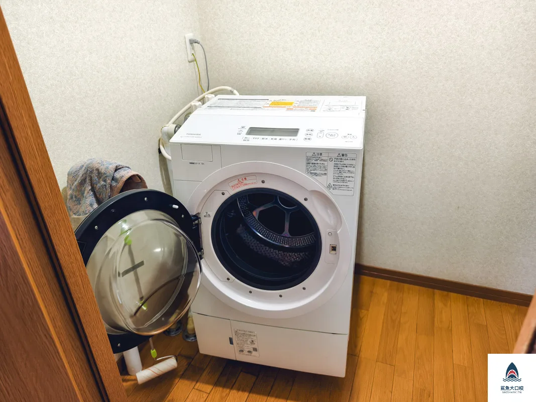 白老住宿Toshi's House,白老Toshi's House @鯊魚大口咬 白老住宿Toshi's House,白老Toshi's House @鯊魚大口咬
