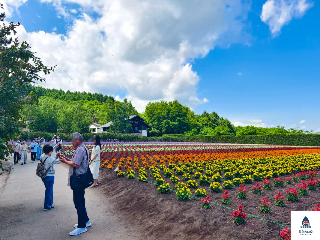 富田哈密瓜農場,富良野富田農場,富田農場,北海道富田農場 @鯊魚大口咬