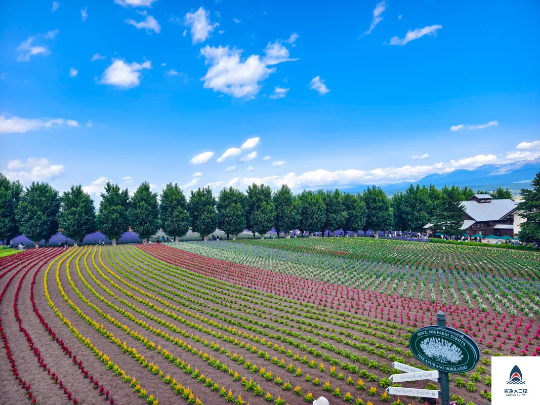富田哈密瓜農場,富良野富田農場,富田農場,北海道富田農場 @鯊魚大口咬 富田哈密瓜農場,富良野富田農場,富田農場,北海道富田農場 @鯊魚大口咬