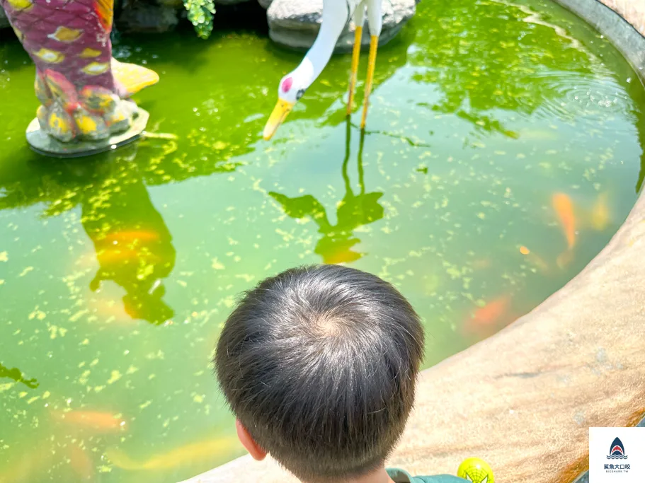 長頸鹿休閒農場,彰化玩水公園,彰化玩水景點,彰化親子景點 @鯊魚大口咬