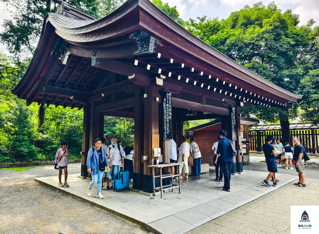  @鯊魚大口咬