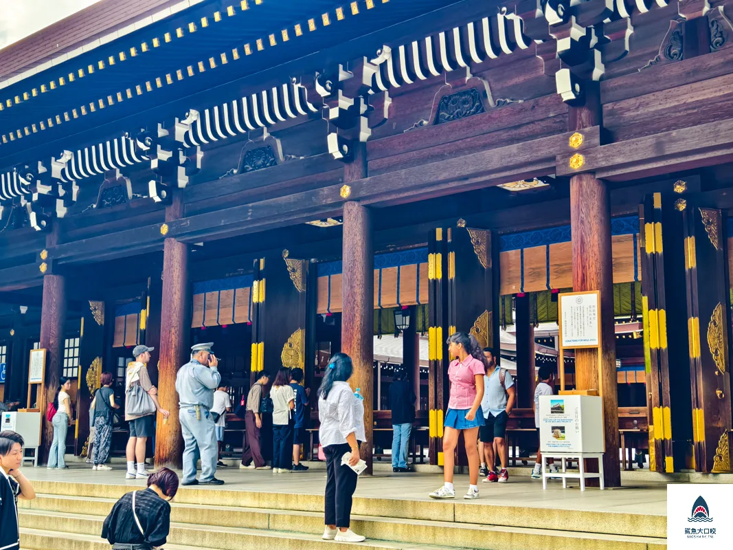  @鯊魚大口咬