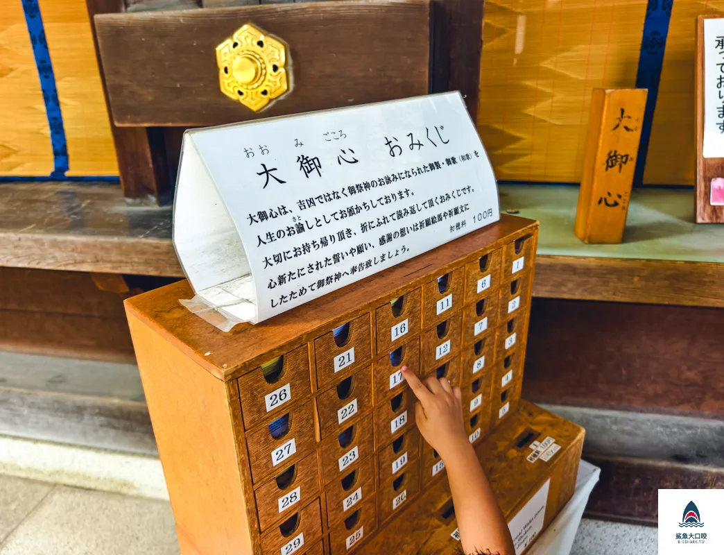 @鯊魚大口咬 @鯊魚大口咬