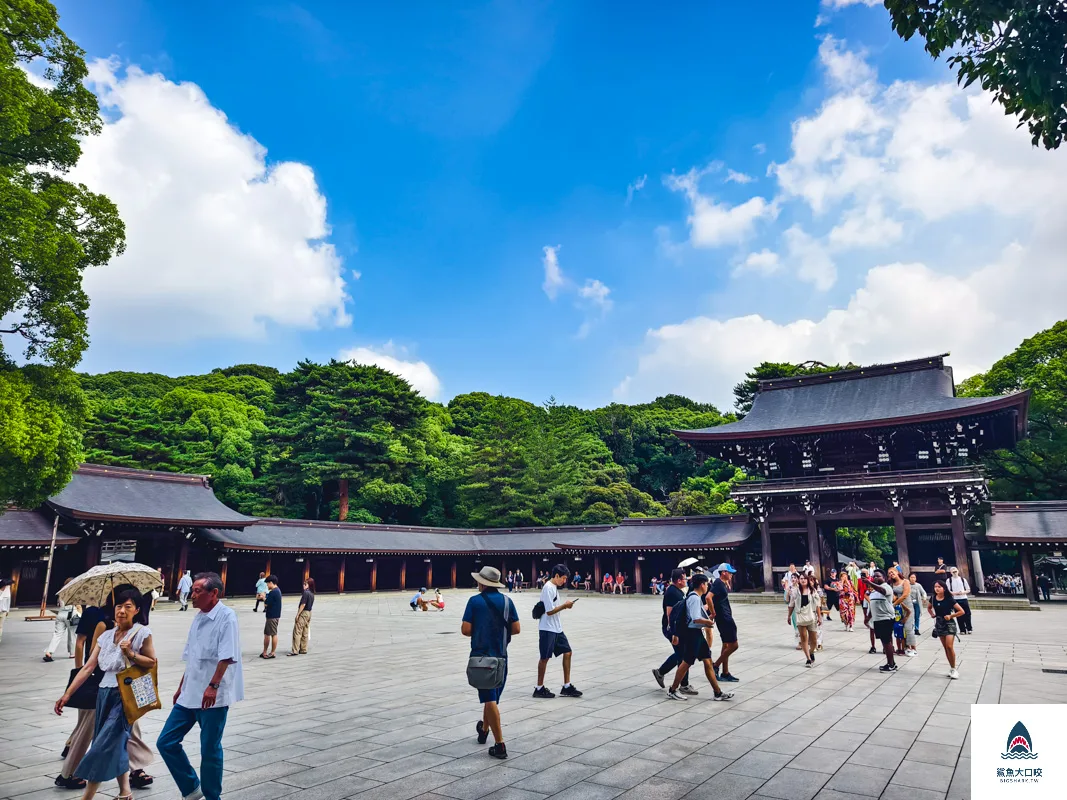  @鯊魚大口咬