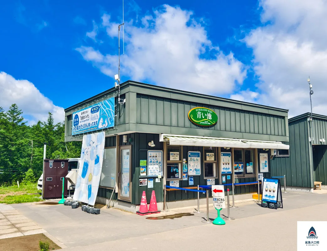 北海道景點,白金青池,美瑛青池,美瑛景點,北海道景點推薦,青池最佳時間,青池點燈,白金青池交通 @鯊魚大口咬
