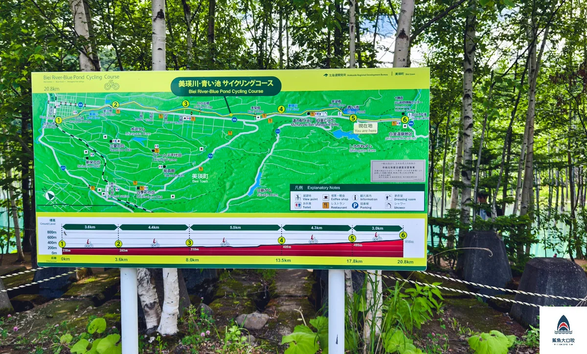 北海道景點,白金青池,美瑛青池,美瑛景點,北海道景點推薦,青池最佳時間,青池點燈,白金青池交通 @鯊魚大口咬