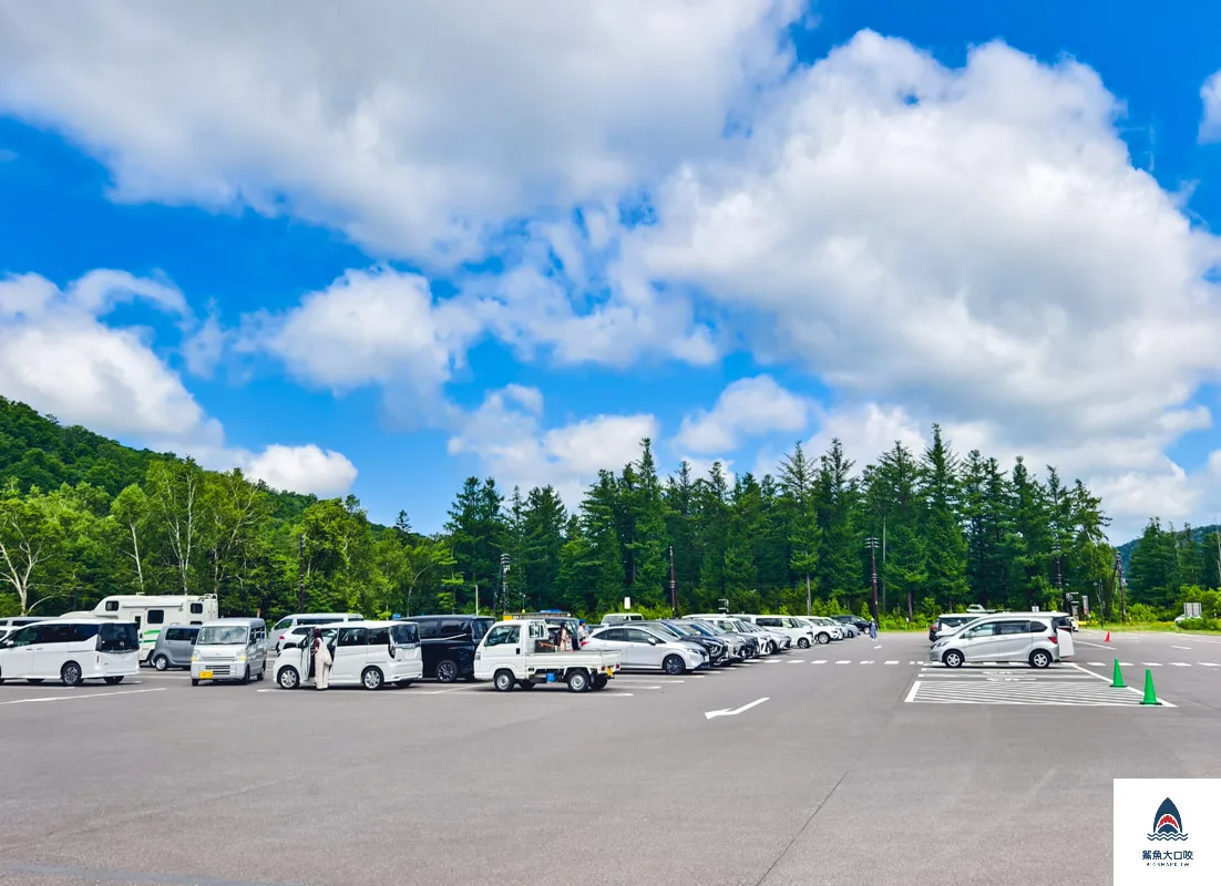 北海道景點,白金青池,美瑛青池,美瑛景點,北海道景點推薦,青池最佳時間,青池點燈,白金青池交通 @鯊魚大口咬 北海道景點,白金青池,美瑛青池,美瑛景點,北海道景點推薦,青池最佳時間,青池點燈,白金青池交通 @鯊魚大口咬