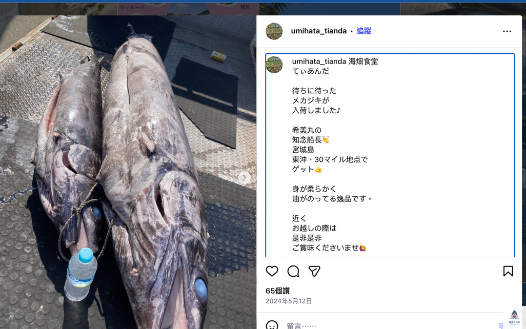 沖繩中部美食推薦,沖繩座間味島美食,沖繩美食,海畑食堂 てぃあんだ @鯊魚大口咬 沖繩中部美食推薦,沖繩座間味島美食,沖繩美食,海畑食堂 てぃあんだ @鯊魚大口咬