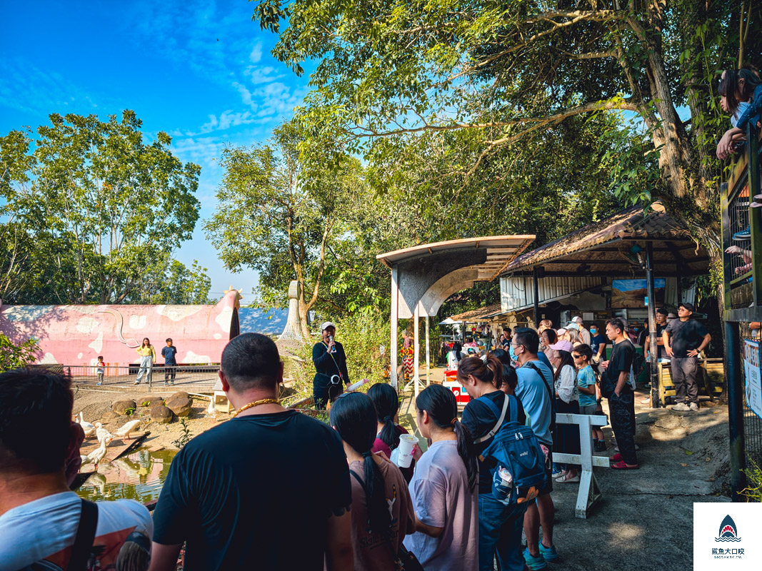 粉牛樂園價格,粉牛樂園,粉牛樂園門票 @鯊魚大口咬